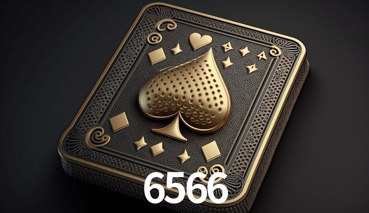 Experiência VIP 6566