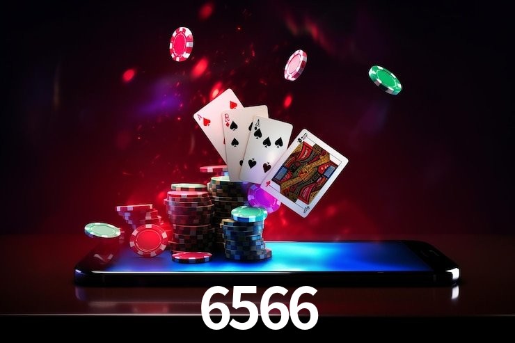 Flash Promotion 6566
