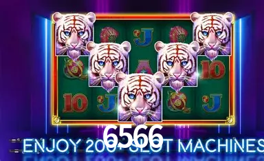 6566 bet
