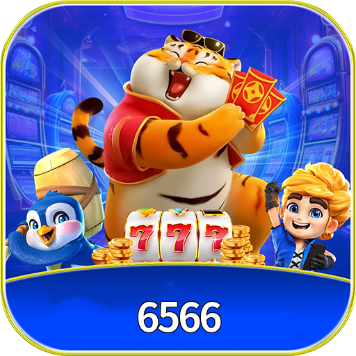 6566
